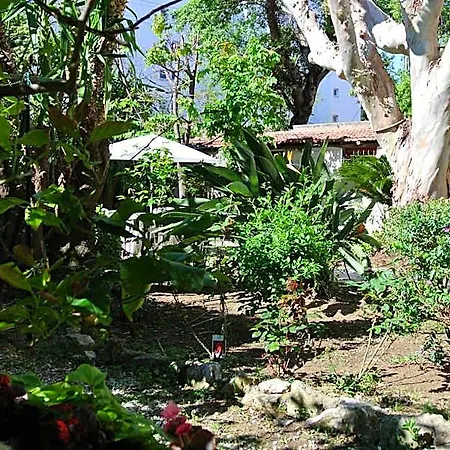 Castel Mistral 3* ז'ואן-לה-פינס